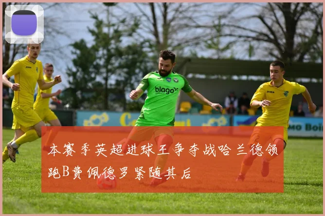 本赛季英超进球王争夺战哈兰德领跑B费佩德罗紧随其后